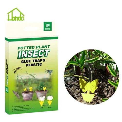 Yellow Sticky Bug Traps