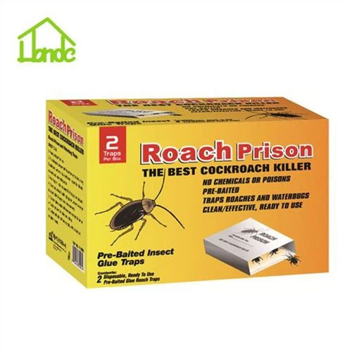 Więzienie Pułapka Kontroli Roach
