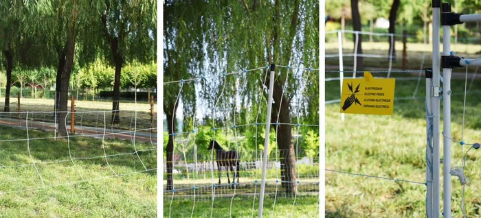 p2024013015420561440 p2024013015420561440